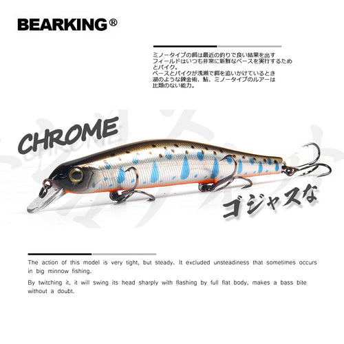 Bearking 11cm 17g magnet weight system l