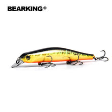 Bearking 11cm 17g magnet weight system l
