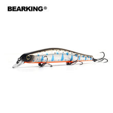 Bearking 11cm 17g magnet weight system l