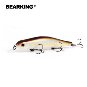 Bearking 11cm 17g magnet weight system l